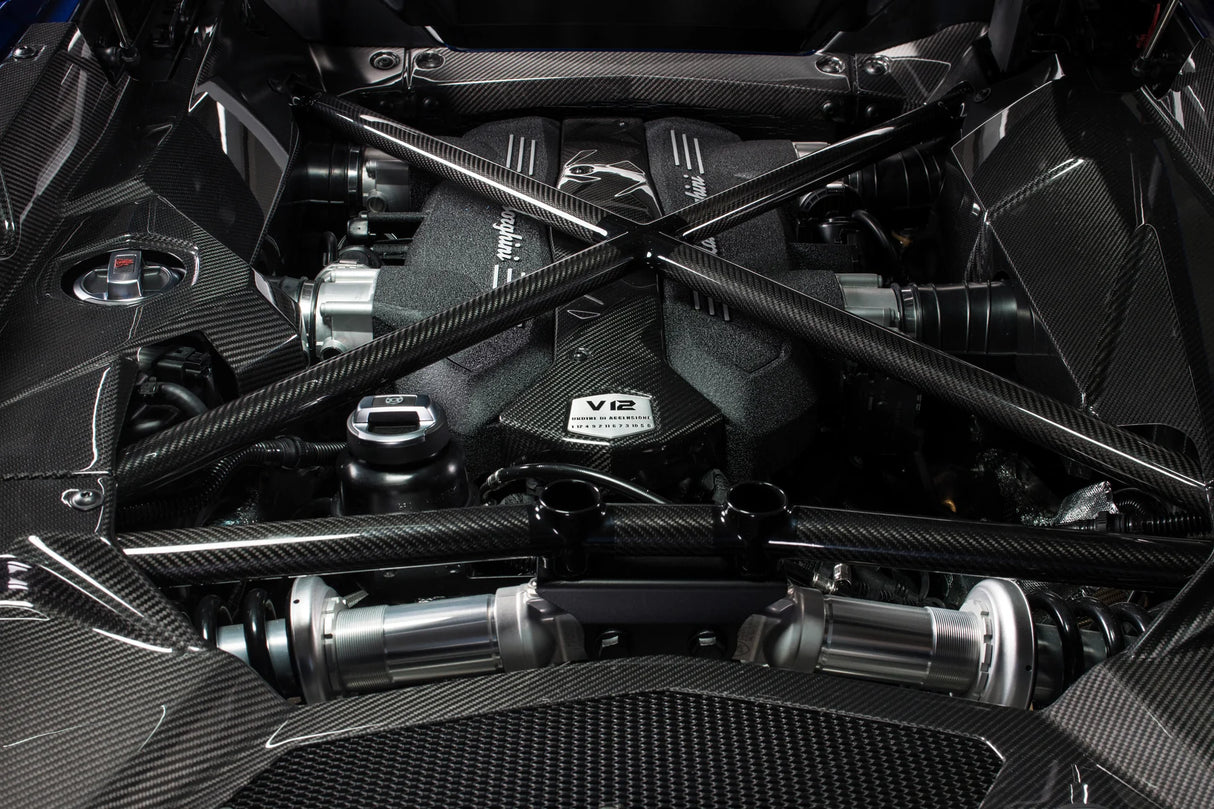 LAMBORGHINI Carbon fiber X-frame kit for73x  0R8340105
